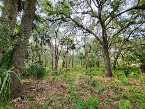 Saffron Avenue, Eustis, FL 32736