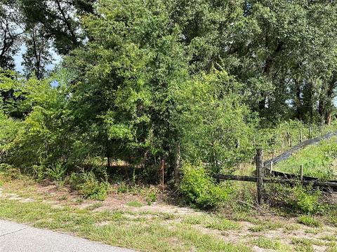 Tbd Perkins Ave, Coleman, FL 33521