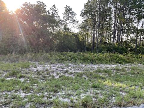 Sw 85th Court, Dunnellon, FL 34432