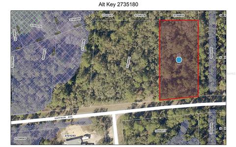 Lot 8 Saffron Avenue, Eustis, FL 32736