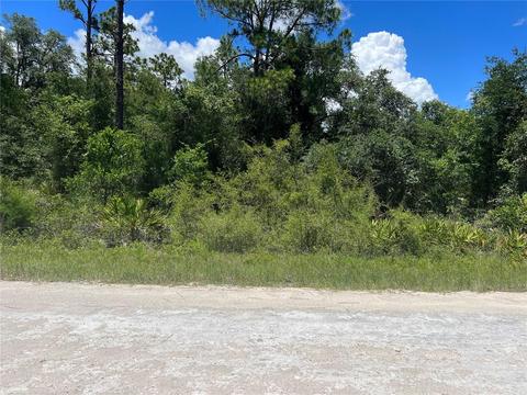 Easter Drive, Webster, FL 33597