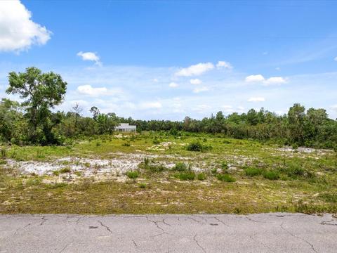 Larkspur Avenue, Eustis, FL 32736