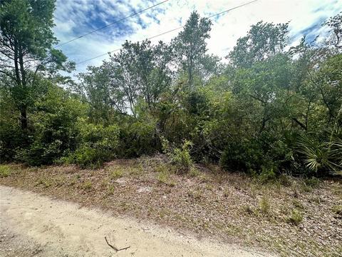 Little Palm Drive, Deltona, FL 32738
