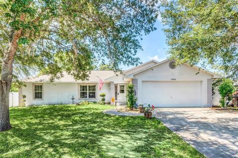 11248 Lakeview Dr, Leesburg, FL 34788