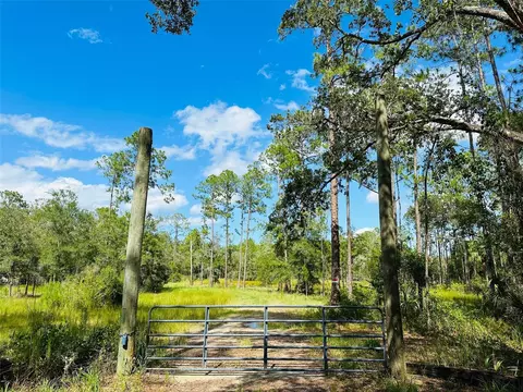 385 Smith Rd, Osteen, FL 32764