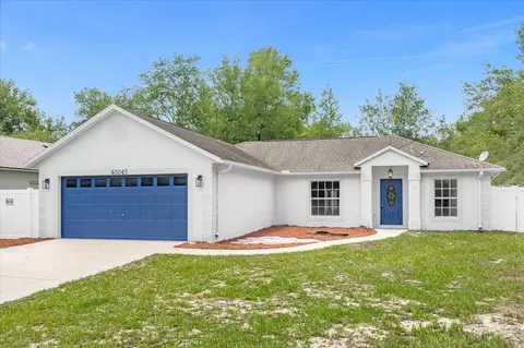 40045 Oakridge Dr, Lady Lake, FL 32159