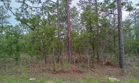 0 SW 123rd Ave Rd, Ocala, FL 34481