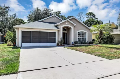 2891 Doe Run Trl, Orange City, FL 32763