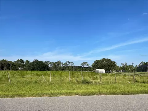 3135 Tindall Acres Rd, Kissimmee, FL 34744