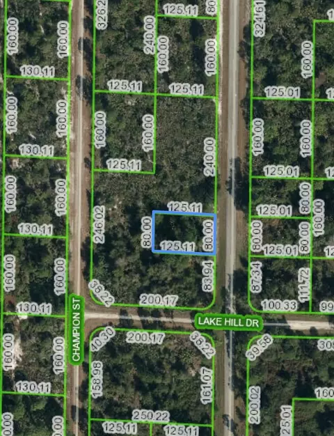 1146 Durrance Rd, Lake Placid, FL 33852