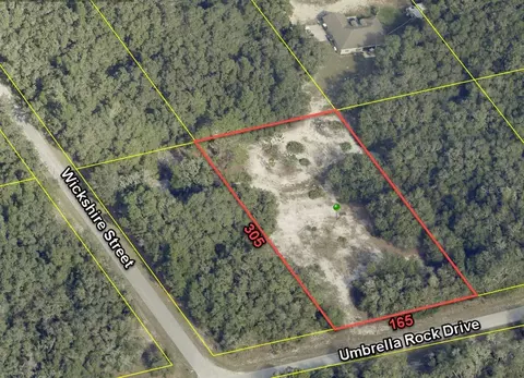 34171 Umbrella Rock Dr, Webster, FL 33597