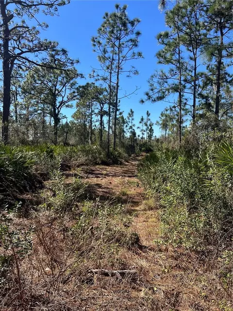 Shore Drive, Lake Wales, FL 33898