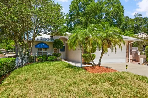 11 Hibiscus Ct, Eustis, FL 32726