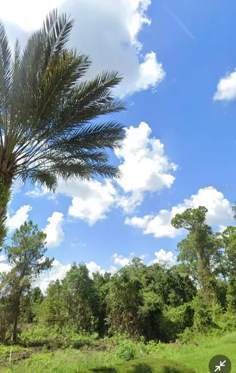 17157 Arrowhead Blvd, Winter Garden, FL 34787