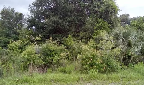0 SE 34th Ct #17, Summerfield, FL 34491