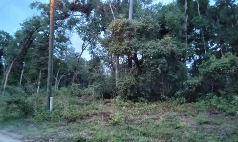 0 SE 131st Pl #14, Belleview, FL 34420