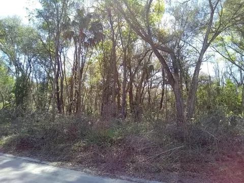 0 SE 130th Pl, Belleview, FL 34420