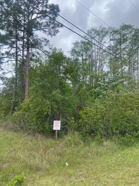 Quinlan Street, Orlando, FL 32833