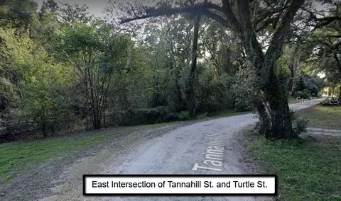 Tannahill Street, Dade City, FL 33523