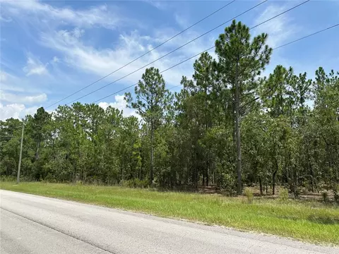 Nn SW 66th Lot 11 Street, Dunnellon, FL 34432