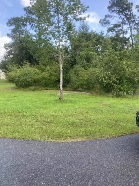8181 W Barry Ct, Homosassa, FL 34446