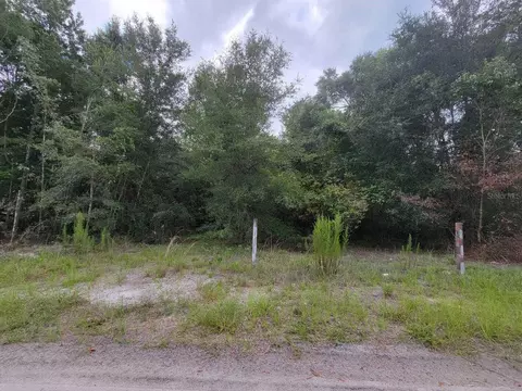 SE 179th Place, Summerfield, FL 34491
