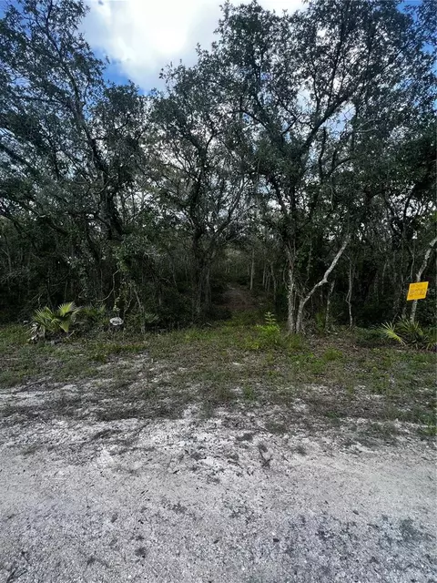 8220 Renova Dr, Webster, FL 33597 photo 1