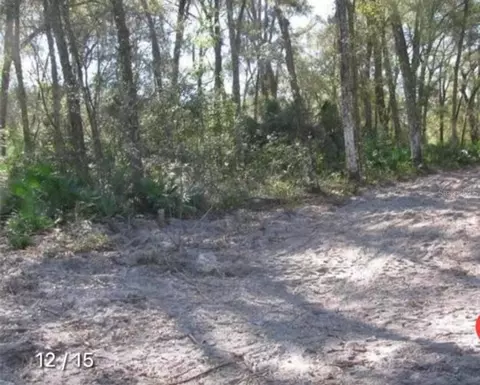 Tbd Se 143rd Pl Lot 12, Summerfield, FL 34491