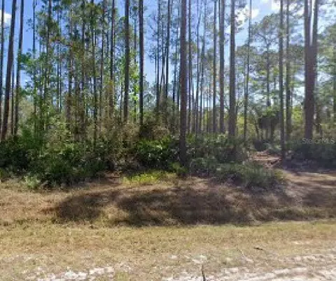 104 Lakeshore Dr, Georgetown, FL 32139