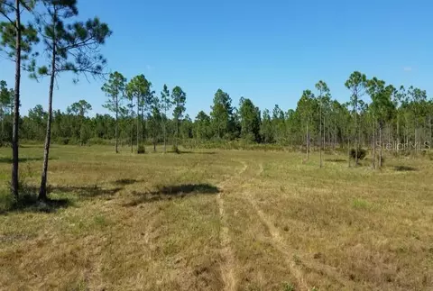 1255 Omega Ranch Rd, New Smyrna Beach, FL 32168