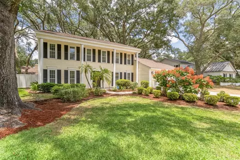 306 Bryan Oak Ave, Brandon, FL 33511