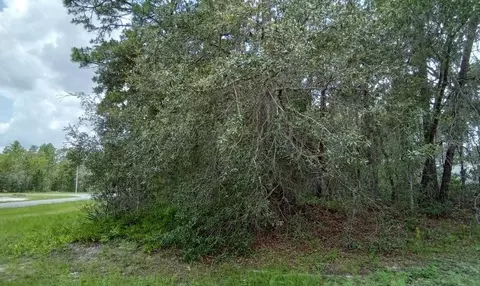SW 151 Lane, Ocala, FL 34473