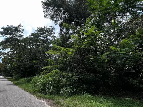 Holly Street, Mount Dora, FL 32757