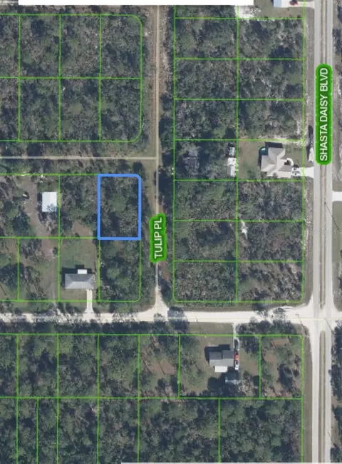 1201 Honeysuckle St, Sebring, FL 33875