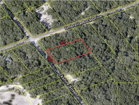 Tbd Wickshire Street, Webster, FL 33597