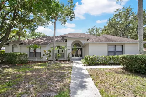 4514 Swift Cir, Valrico, FL 33596