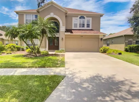 1141 Big Creek Dr, Wesley Chapel, FL 33544