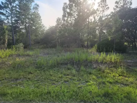 SW Evergreen Court, Dunnellon, FL 34431