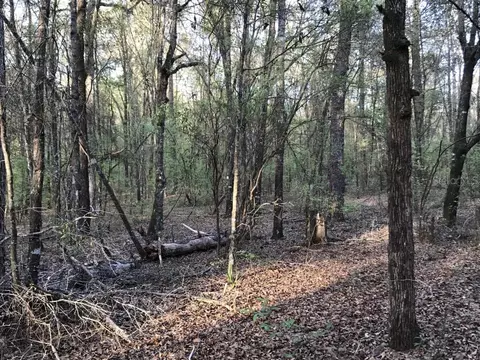 14 Th Trce, Live Oak, FL 32060