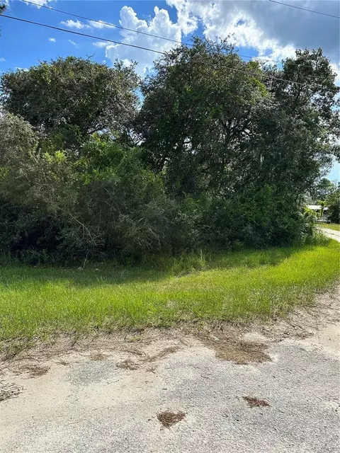 26240 Bay Tree Ln, Paisley, FL 32767