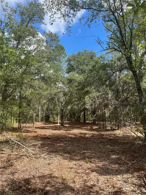 4613 Kola Rd, New Smyrna Beach, FL 32168