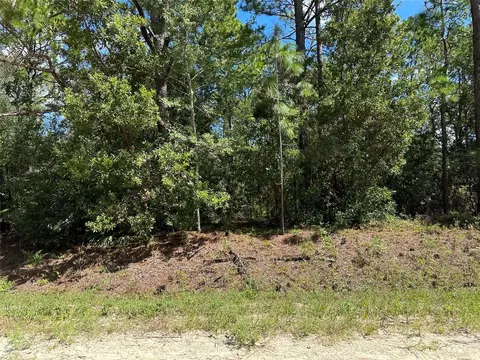 0 SW 80th Sts, Dunnellon, FL 34432