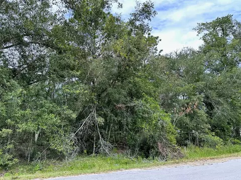 Se 94th Terrace, Summerfield, FL 34491