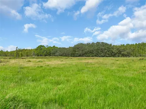 Fdc Grove Road, Davenport, FL 33837