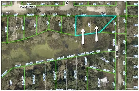34986 Talisman St, Dade City, FL 33523