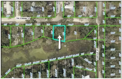 34978 Talisman St, Dade City, FL 33523