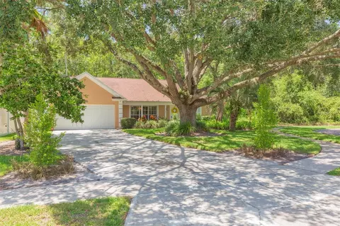 9701 Cypress Pond Ave, Tampa, FL 33647