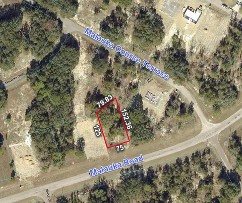 257 Malauka Rd, Ocklawaha, FL 32179