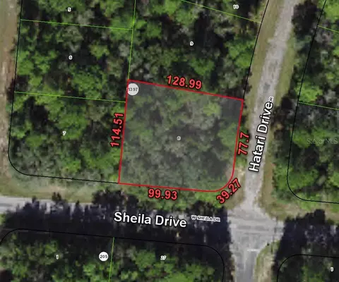 10790 N Hatari Dr, Citrus Springs, FL 34434