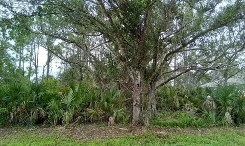22412 Sacramento Ave, Port Charlotte, FL 33954